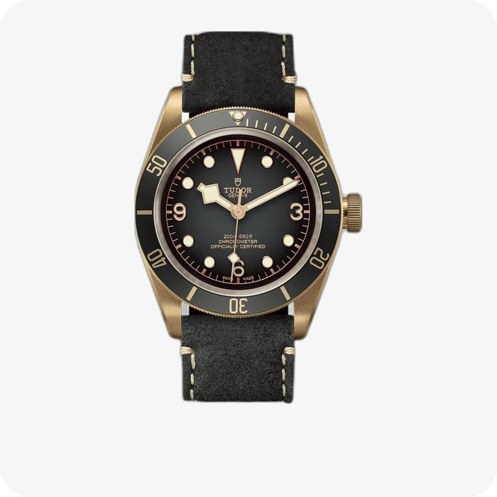 Tudor Black Bay Bronze