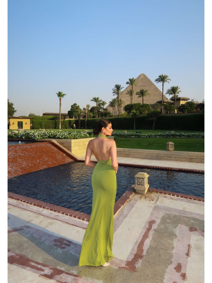 Halter Yaka Organze Çiçekli Elbise E.H Collection