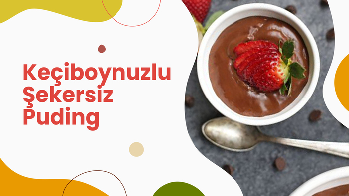 SAYGIN KEÇİBOYNUZLU ŞEKERSİZ PUDİNG
