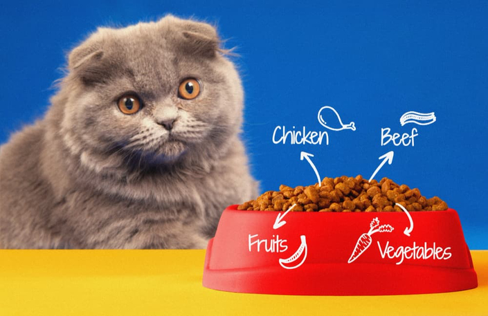 veteriner-onerisiyle-en-iyi-kedi-mamalari