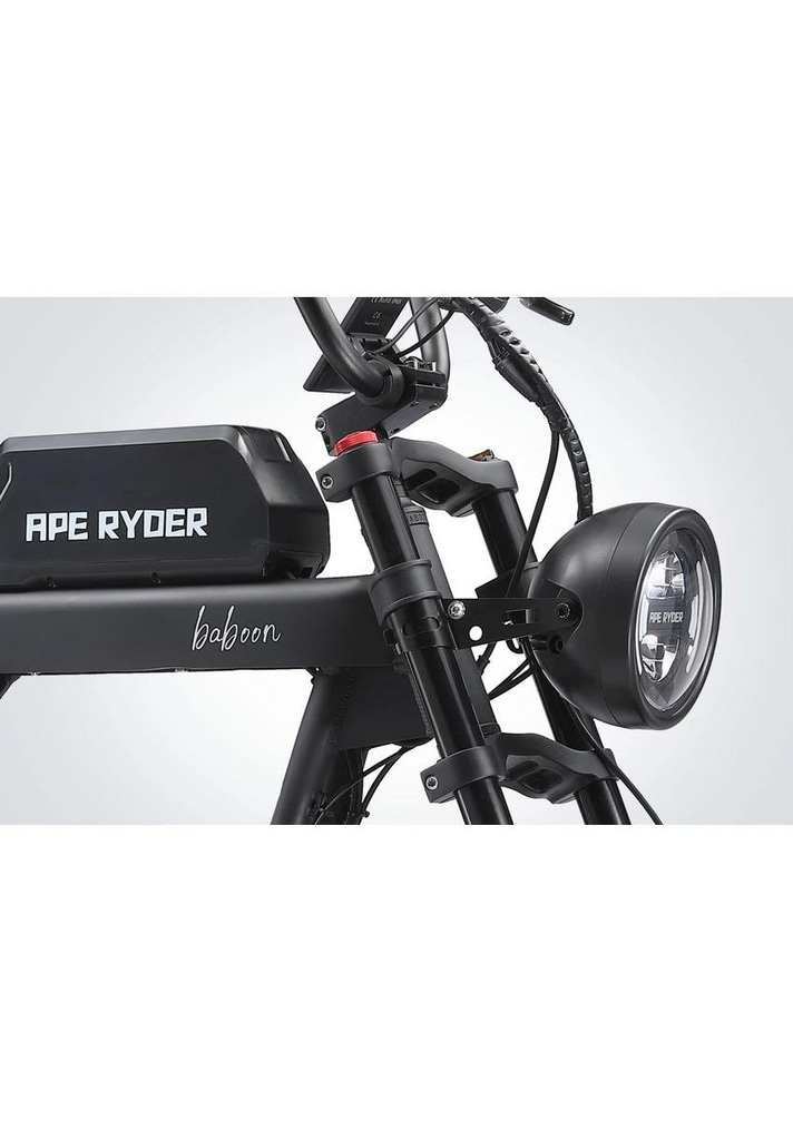 Ape Ryder Görsel 3