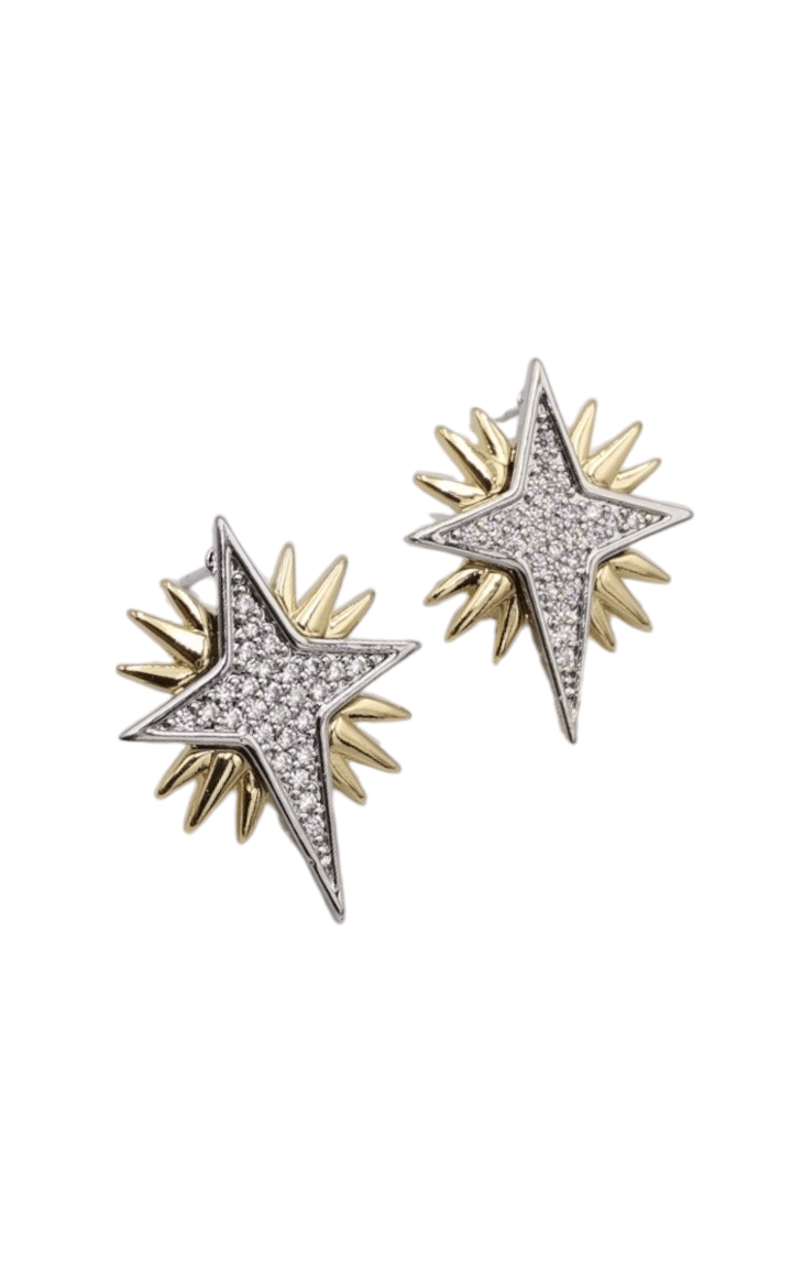 2 Renkli Pole Star Küpe - 2.5 cm