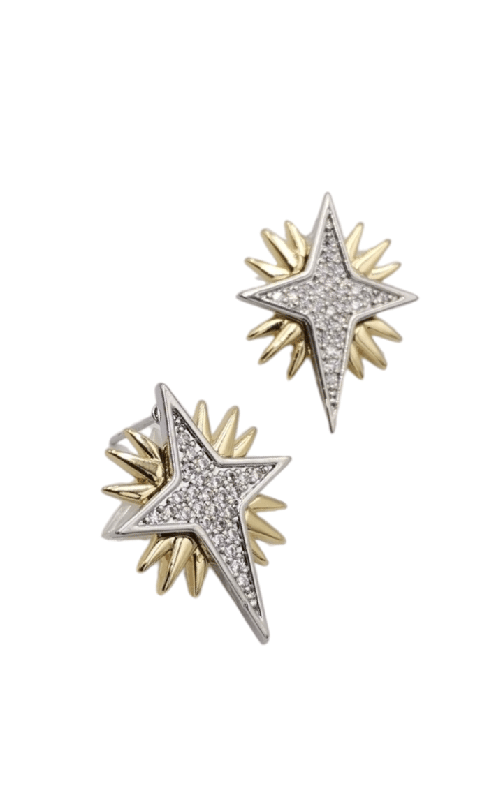 2 Renkli Pole Star Küpe - 2.5 cm