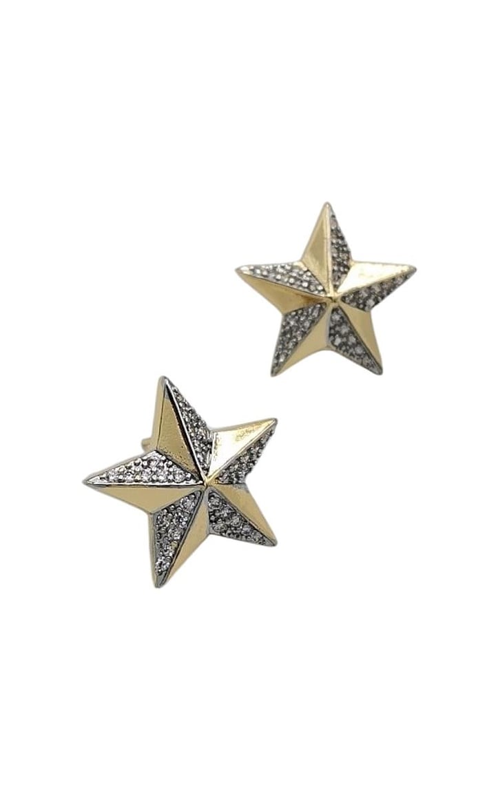 2 Renk Star Küpe