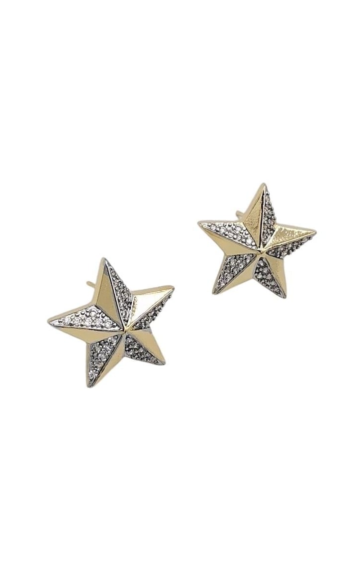 2 Renk Star Küpe