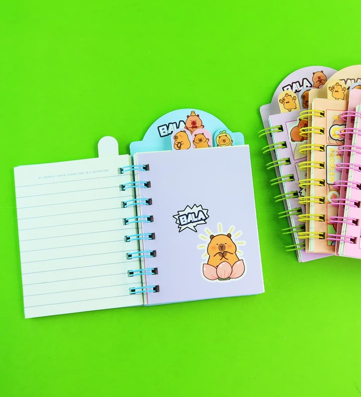 Capybara 4 Bölmeli Çizgili Defter 80 Yaprak x24