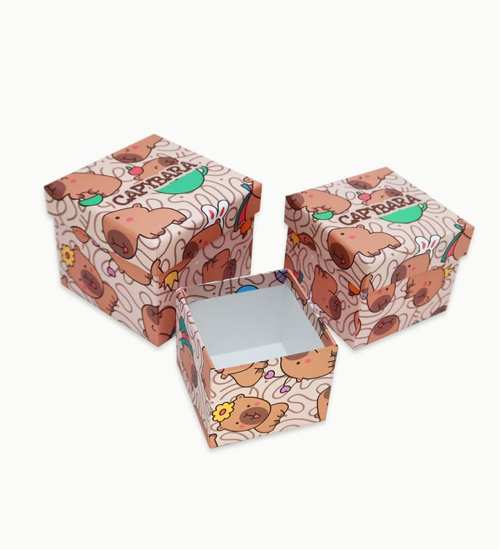 Capybara Mood Tasarımlı 3'lü Mini Kutu 