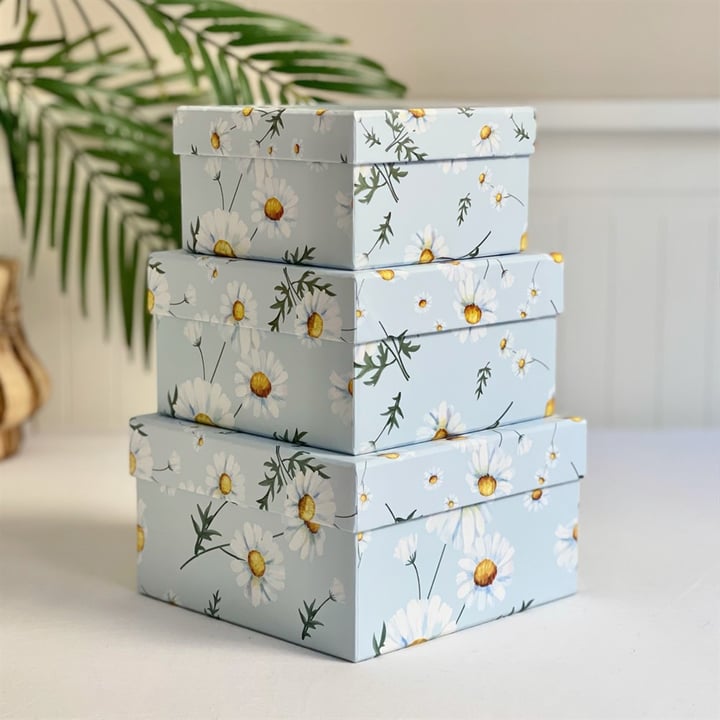 Daisy Gift Box - 3 Pcs Set