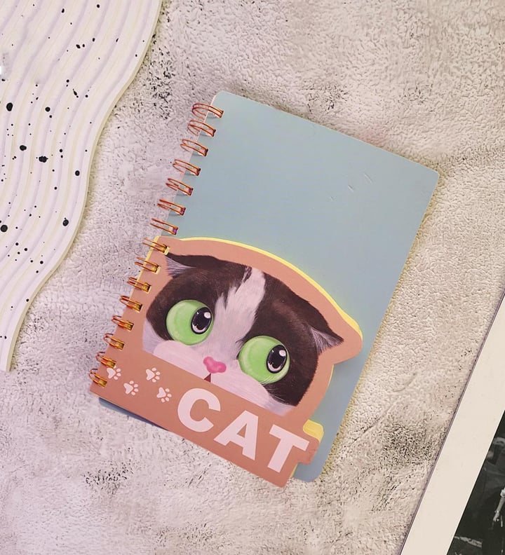 Spiralli Kedi Tasarımlı Defter x12