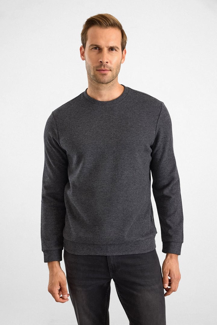 Antrasit Regular Düz Bisiklet Yaka Sweatshirt