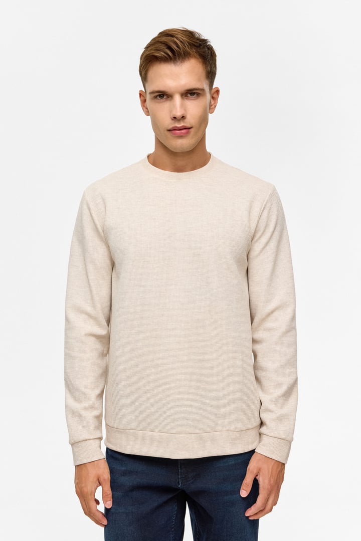 Bej Regular Düz Bisiklet Yaka Sweatshirt