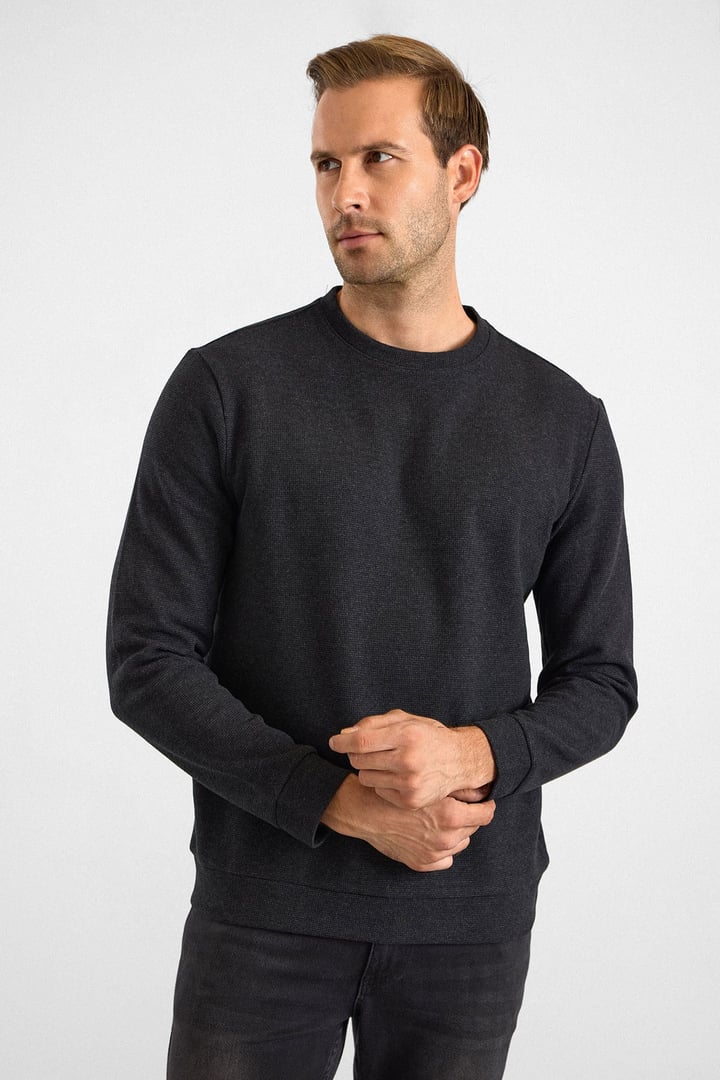 Siyah Regular Düz Bisiklet Yaka Sweatshirt