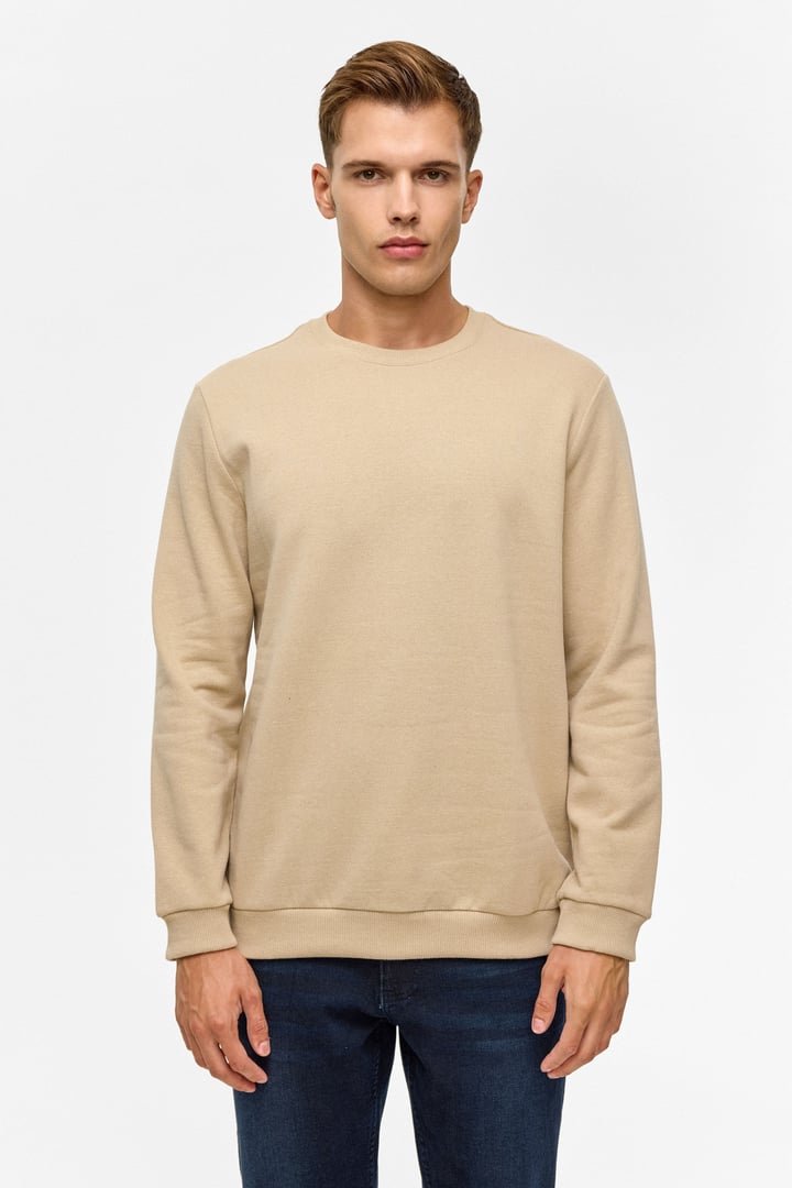 Bej Regular Düz Bisiklet Yaka Sweatshirt