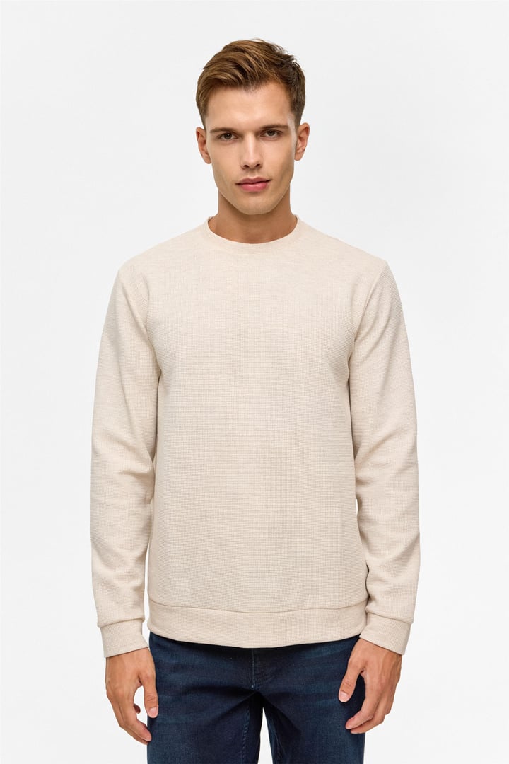 Bej Regular Düz Bisiklet Yaka Sweatshirt