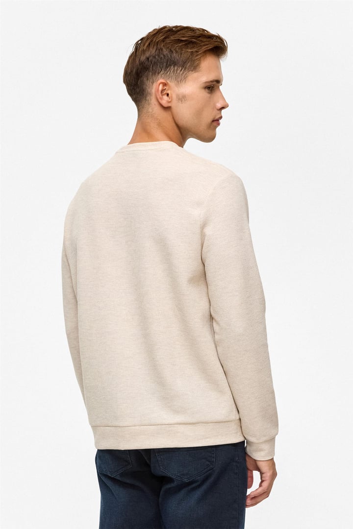 Bej Regular Düz Bisiklet Yaka Sweatshirt