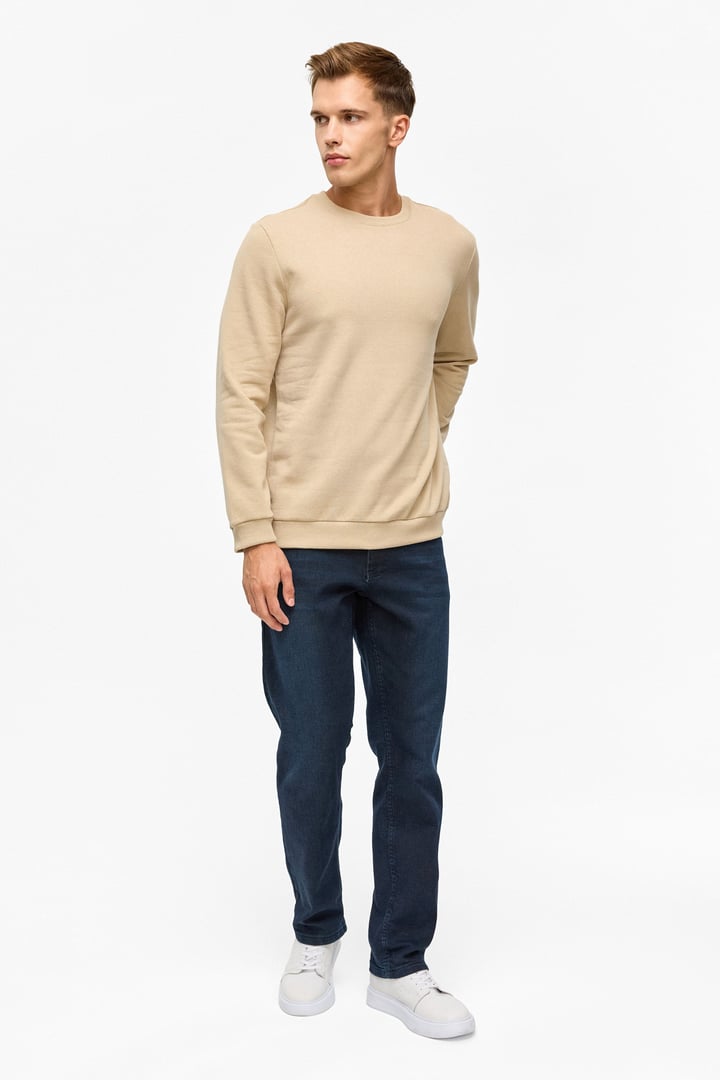 Bej Regular Düz Bisiklet Yaka Sweatshirt