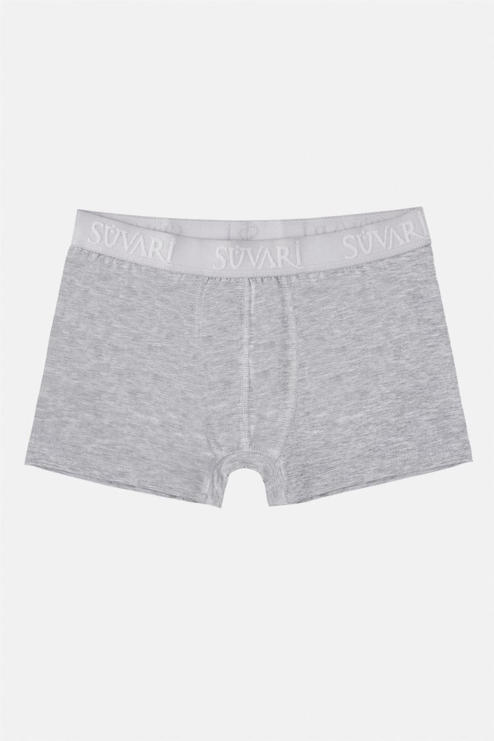Gri Regular Düz Boxer