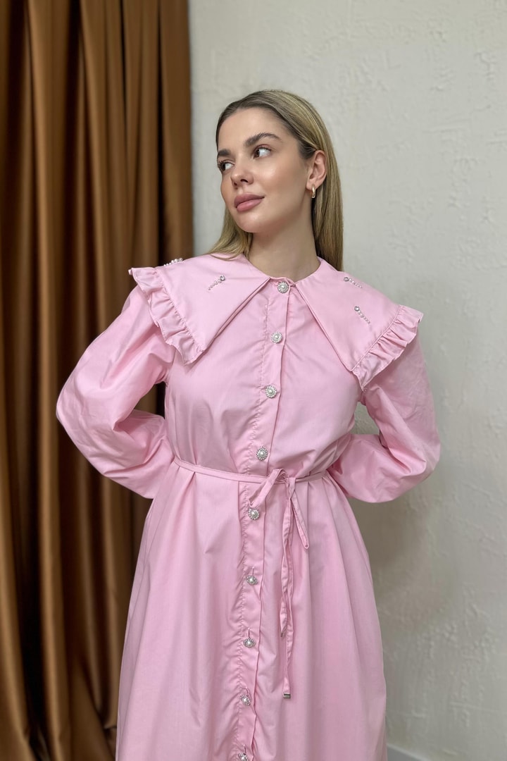Ariasa Yaka Detaylı Elbise - Pembe