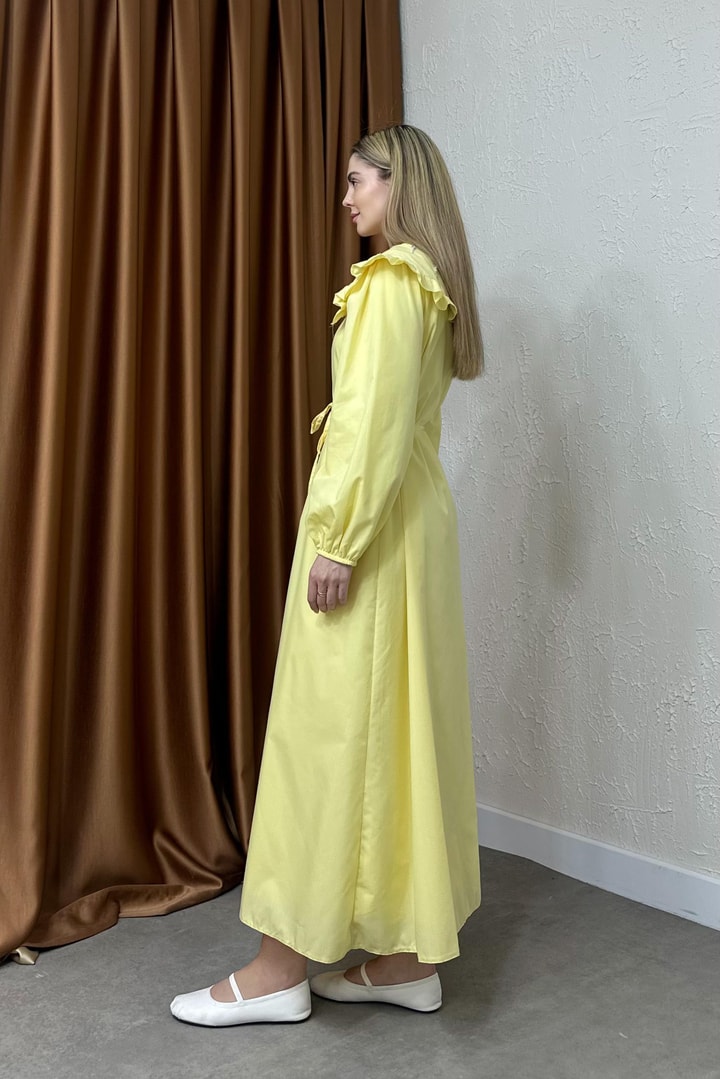 Ariasa Yaka Detaylı Elbise - Sarı