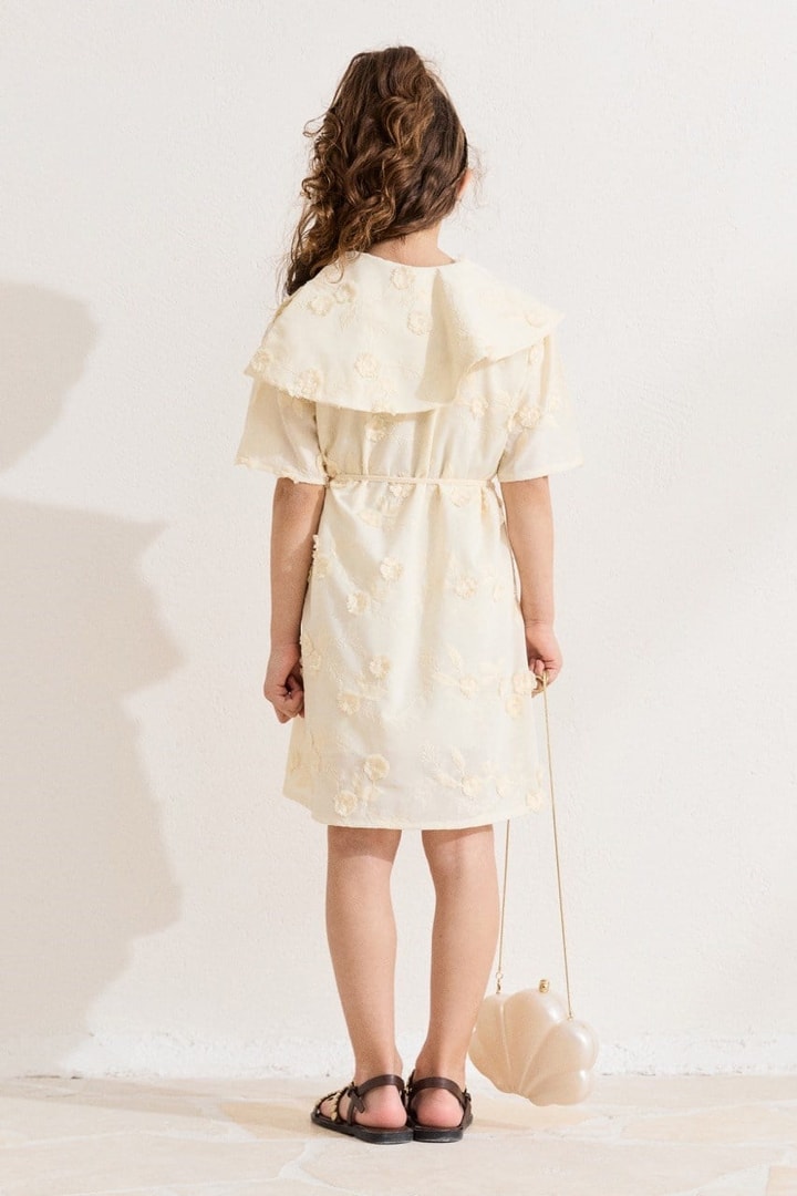 Brode Yaka Detaylı Elbise - Butter Yellow