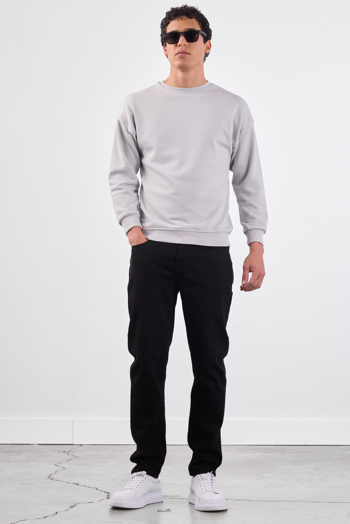 Açık Gri Bisiklet Yaka Regular Fit Erkek Sweatshirt