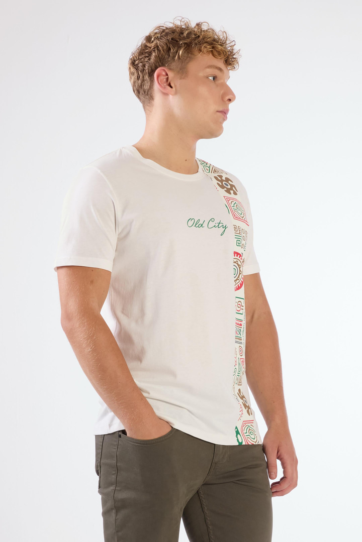 Ekru Erkek Slim Fit Desenli O Yaka T-shirt 