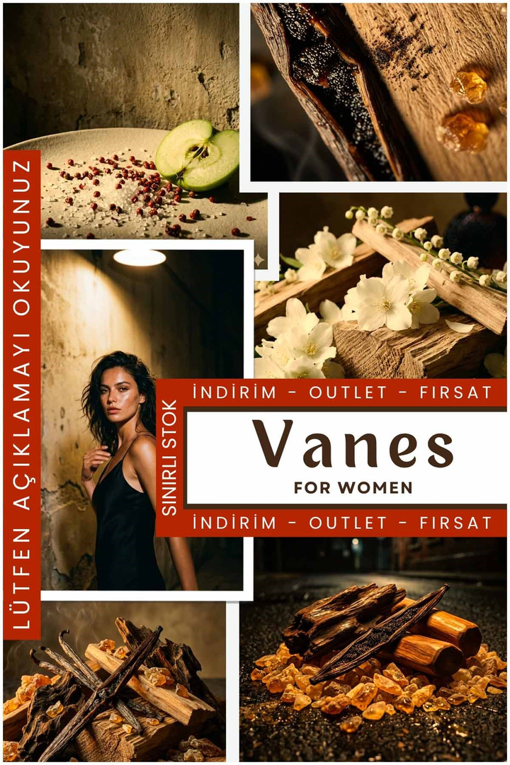 Vanes Outlet