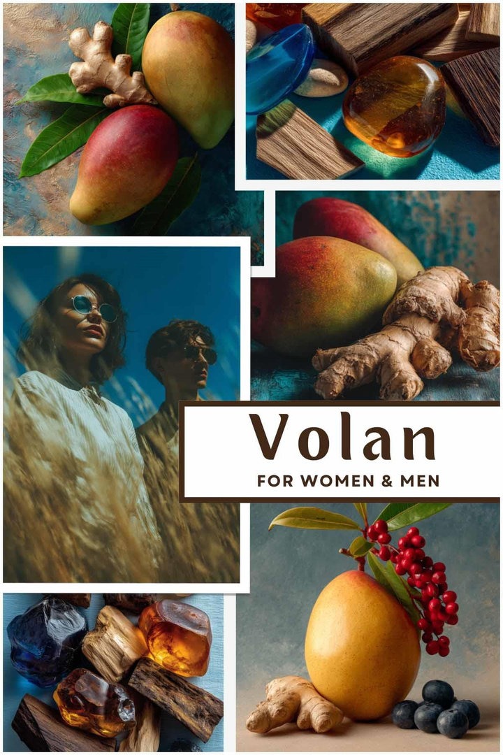 Volan