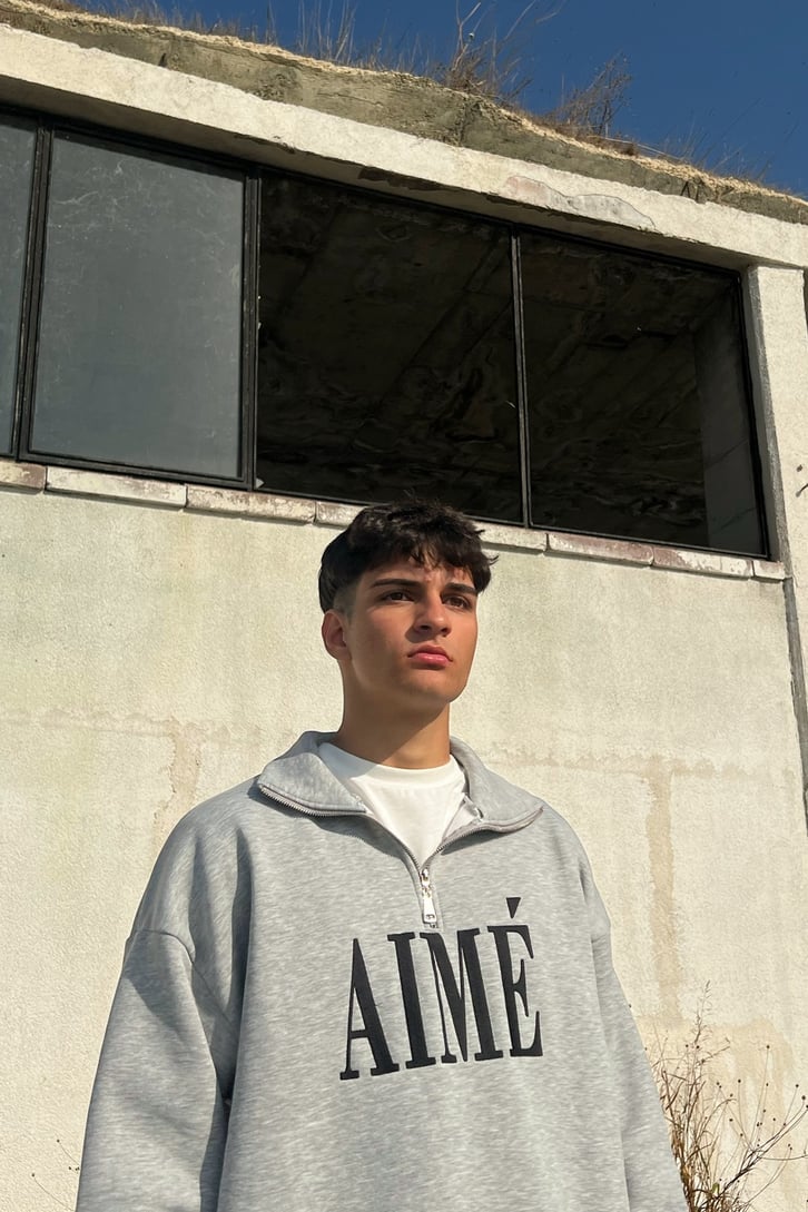 Aime Nakışlı Half-Zip Gri Sweatshirt