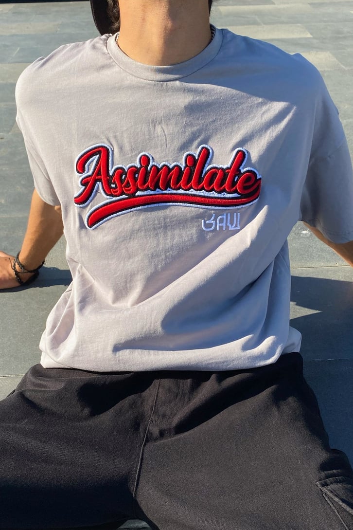 Assimilate Nakışlı Oversize Tshirt