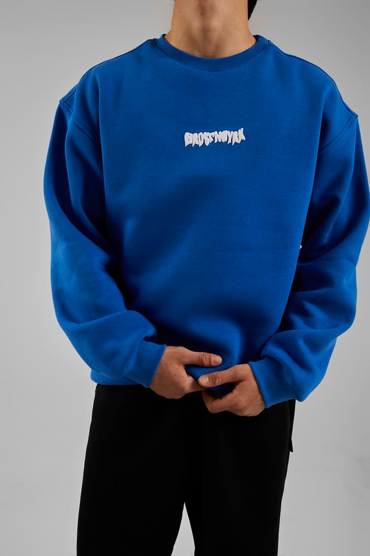 Hrstnwyrk Baskılı Mavi Oversize Sweatshirt