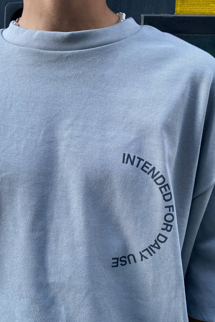 Intended for Daily Use Baskılı Gri Oversize Tshirt