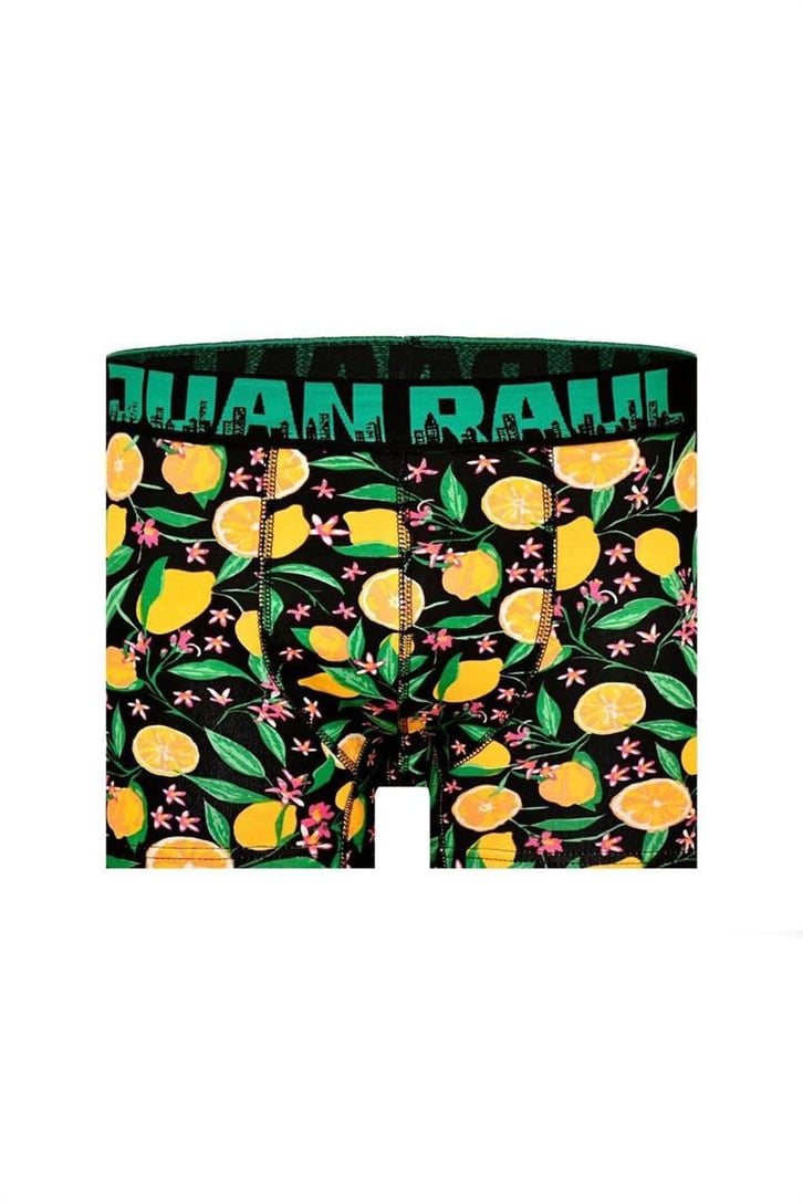 Lemon Desenli Boxer