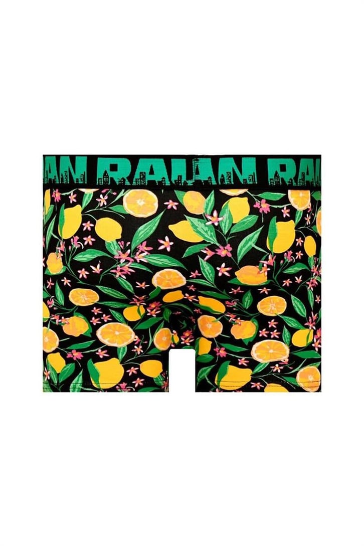 Lemon Desenli Boxer