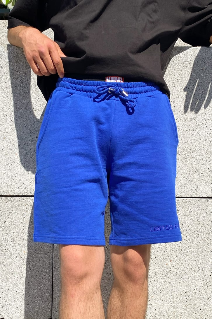 Limited Basic Saks Mavisi Şort