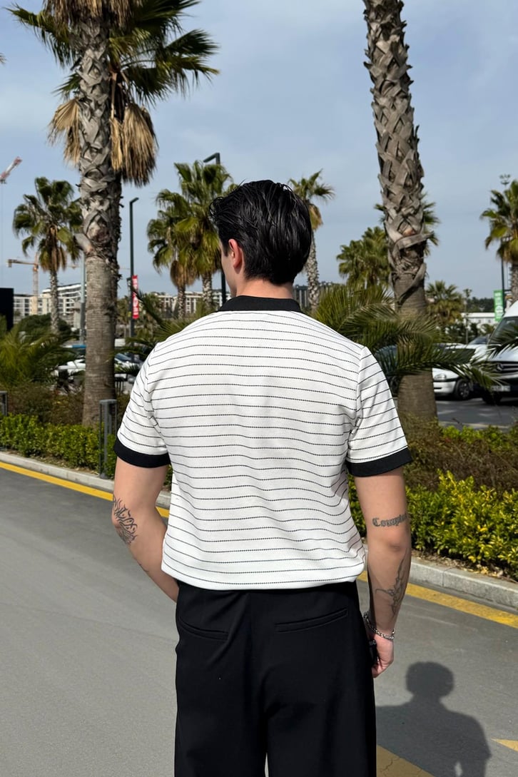 Polo Yaka Çizgili Tişört
