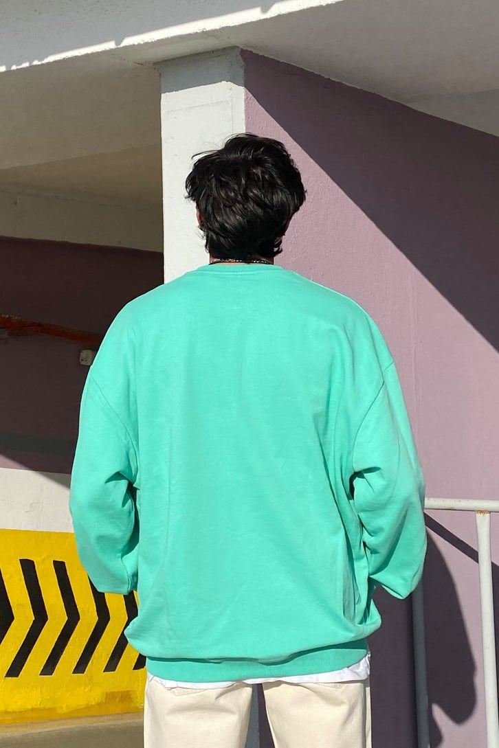 R.Vintage Printed Premium Sweatshirt
