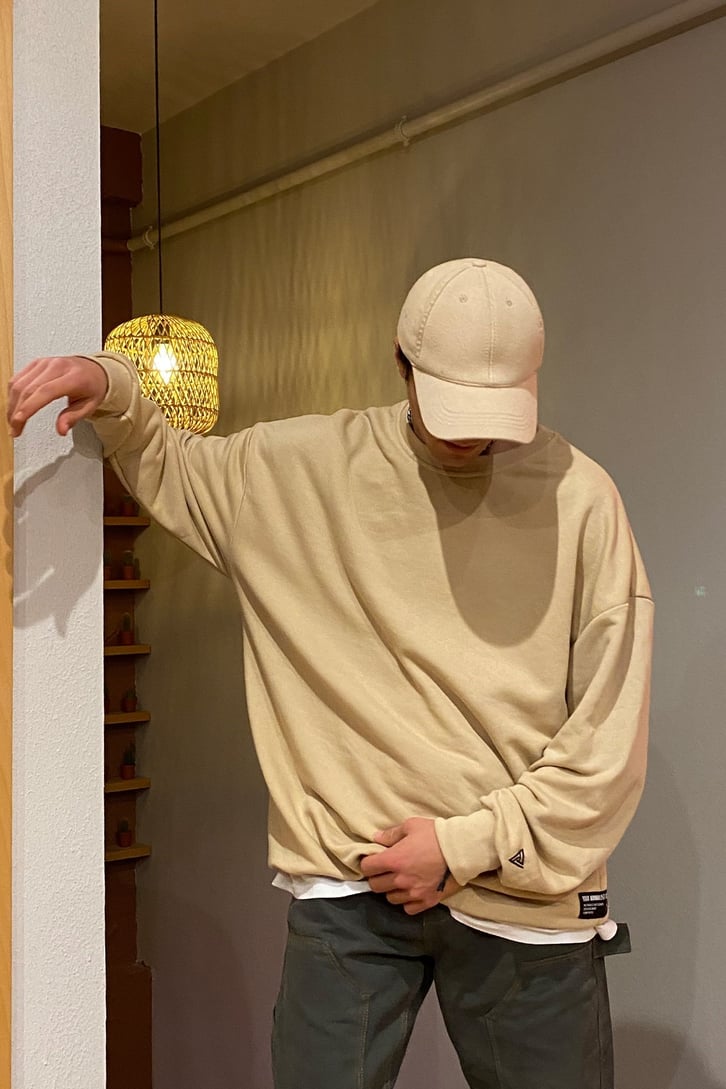 Regular Fit Beige Basic Sweatshirt