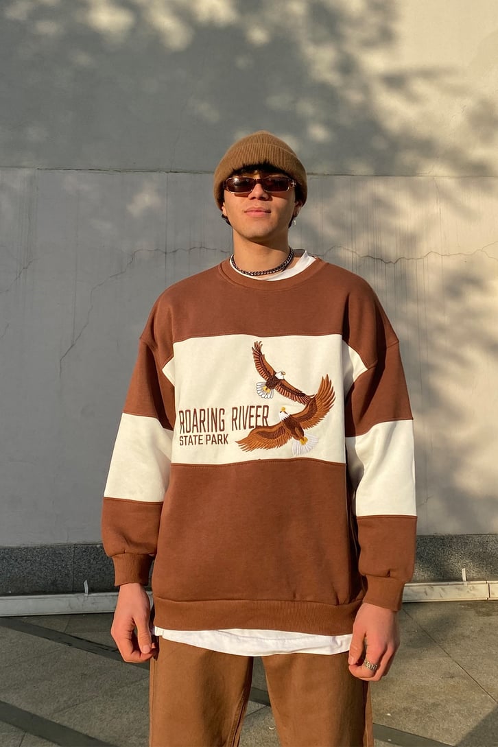 Roaring River Color Block Oversize Brown Sweatshirt