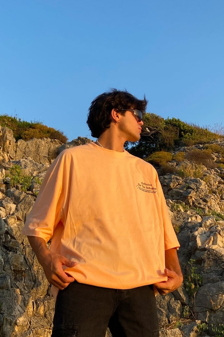 The Indiuidual Baskılı Yavruağzı Oversize Tshirt