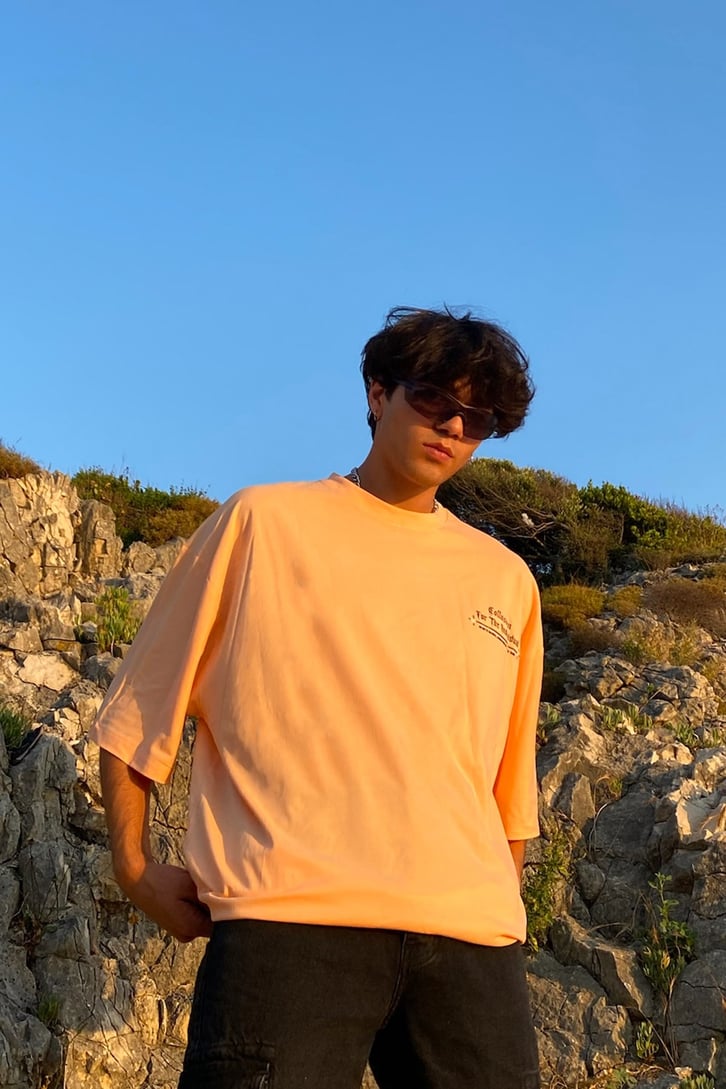 The Indiuidual Baskılı Yavruağzı Oversize Tshirt