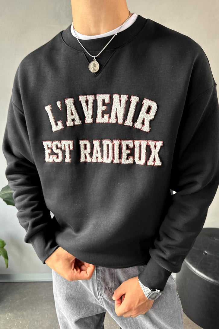 Writing Nakışlı Bisiklet Yaka Sweatshirt