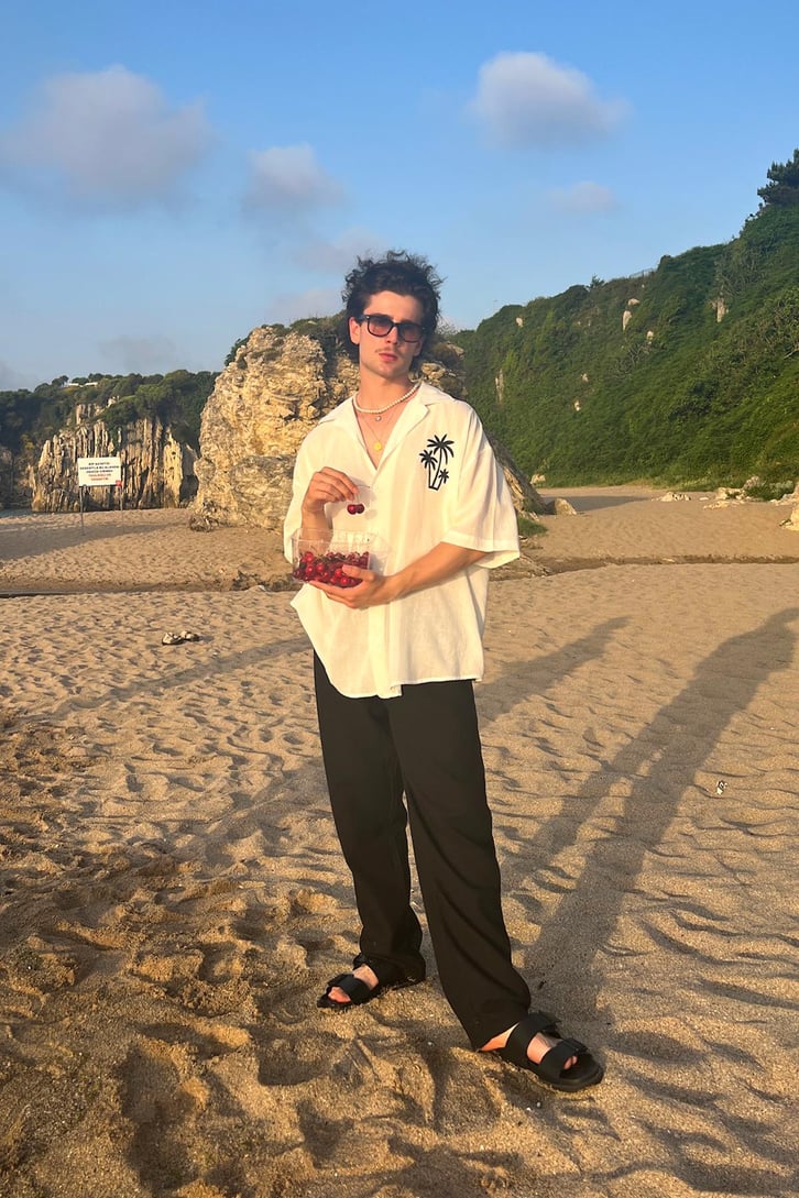Palm Nakışlı Keten Kısa Kol Oversize Gömlek