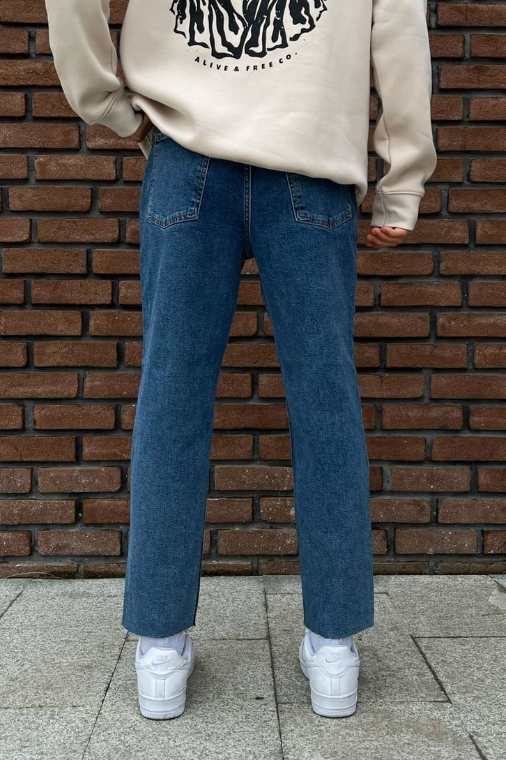 Ripped Leg Mavi Mom Fit Jean