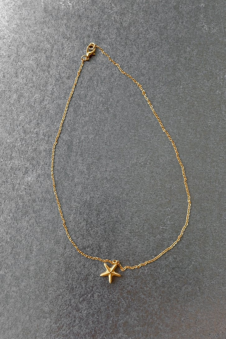 Starfish Kolye