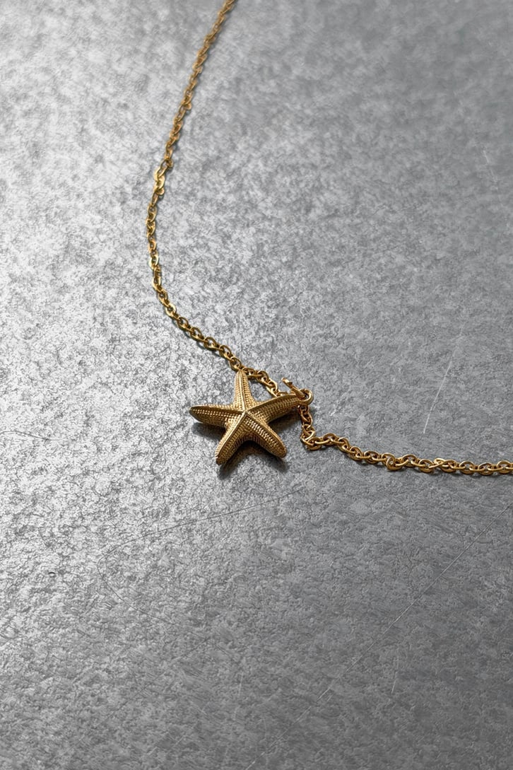 Starfish Kolye