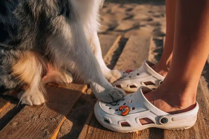 Crocs Terlikler Hakkında Bilmeniz Gerekenler