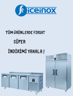 Iceinox 