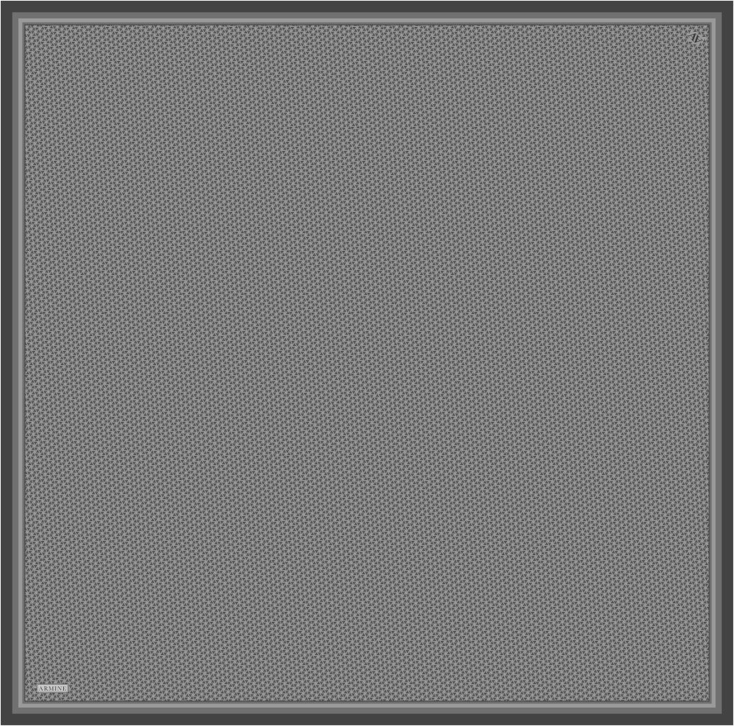 Armine  Saf İpek Sura Eşarp 9528D 54 