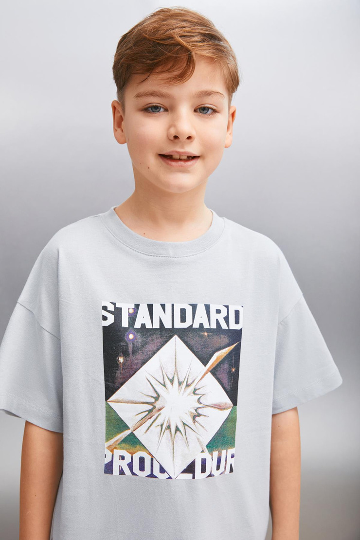 INNES  Regular Gri Tekli T-Shirt